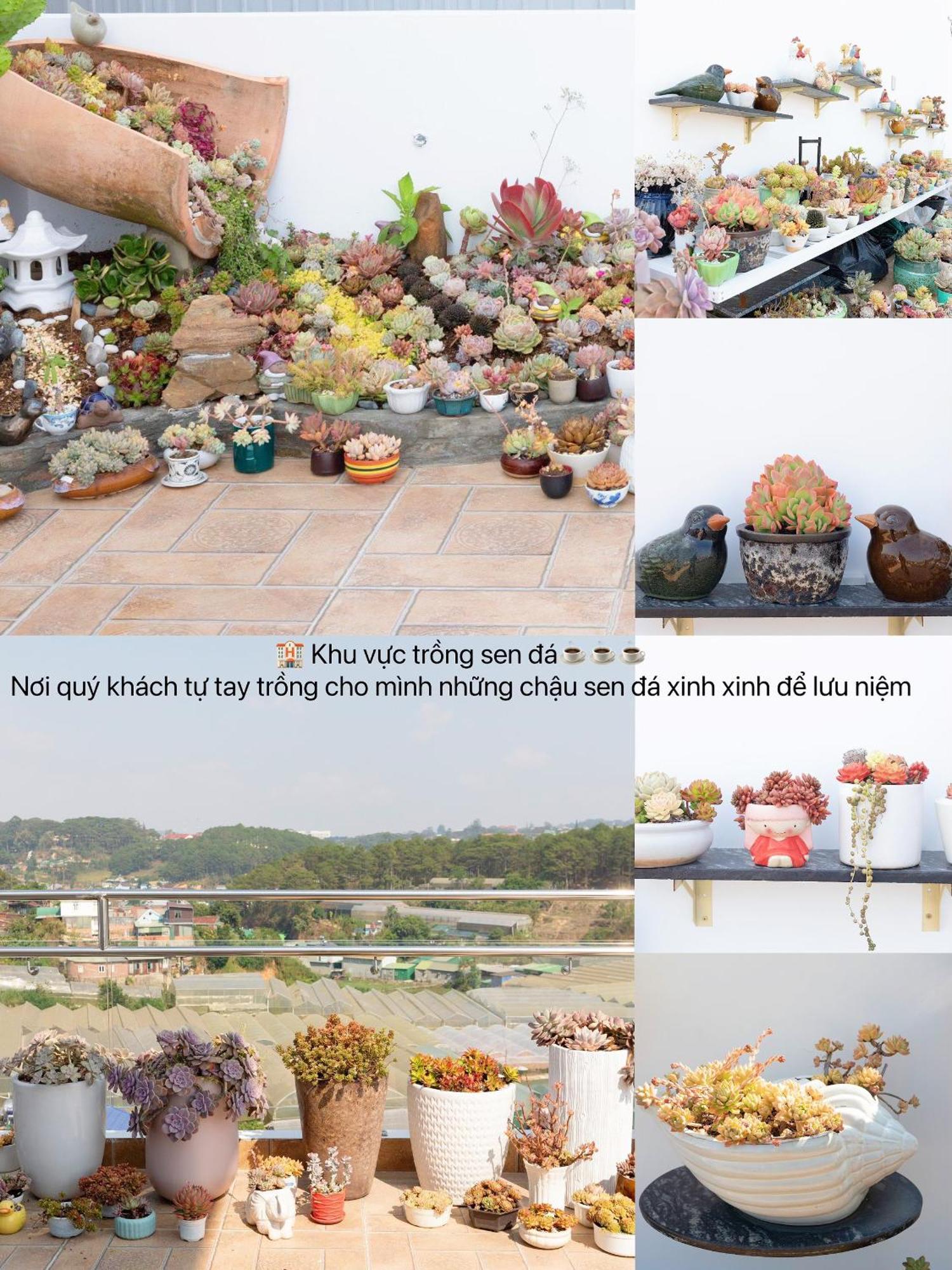 大叻 Khach San Anh Sang - Light House酒店 外观 照片